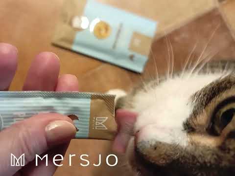 Snack für Katzen - Lick & Purr: Salmon Mousse Mersjo 60g